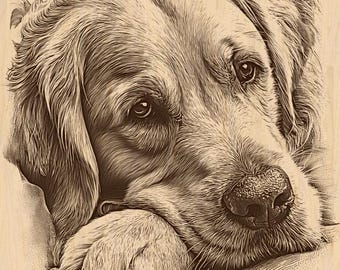 Silver Pack®! Plik z laserowym grawerunkiem głowy spoczywającego golden retrievera w formacie PNG, JPEG w wysokiej rozdzielczości + PNG_SVG_PDF_EPS (format wektorowy w pełnym kolorze)
