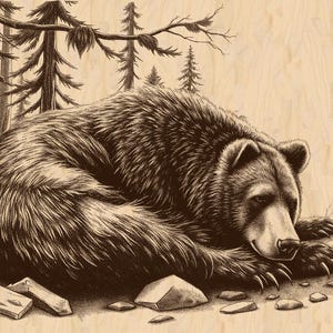 Silver Pack®! Sleeping Bear Laser File  Laser Engraving file PNG_SVG_PDF_EPS – Nature Wildlife Art – Rustic Bear Decor – Lights burn file
