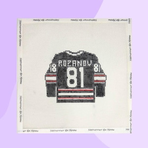 May include: Needlepoint hockey jersey with the name "ROZANOV" and the number "81" in white on a black background. The jersey has red and white stripes. The needlepoint is on a white canvas with "NEEDLEPOINT BY MEGAN" printed around the edges.