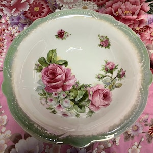 Beautiful Bavarian Bowl with Hand Painted Pink Roses and Mint Green Accents, Porcelain Iridescent Glaze 11-inch diameter