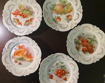 Set of Five Dessert Plates from C. Schumann Bavarian Porcelain Featuring Beautiful Fruit: Apples, Cherries, Raspberries, Cantaloupe, Grapes