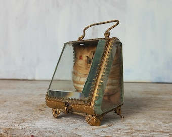 May include: A small, antique glass and gold-toned metal box with a hinged lid and a handle. The box contains a lock of hair.