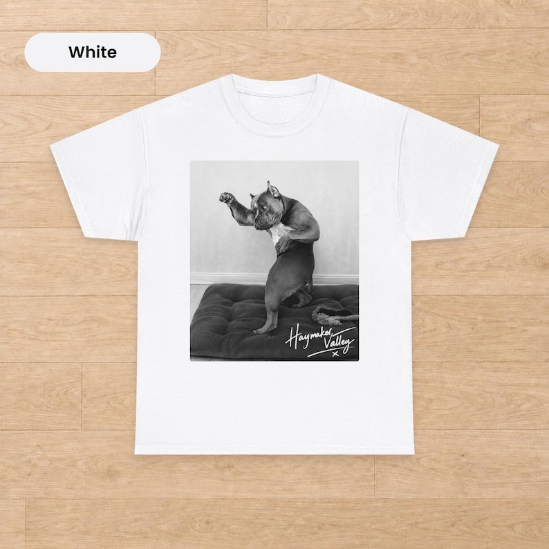 Haymaker Valley Pitbull Graphic Tee Boxing Dog Meme Trend Shirt Funny haymaker-valley-pitbull-graphic-tee-boxing-dog-meme-trend-shirt-funny