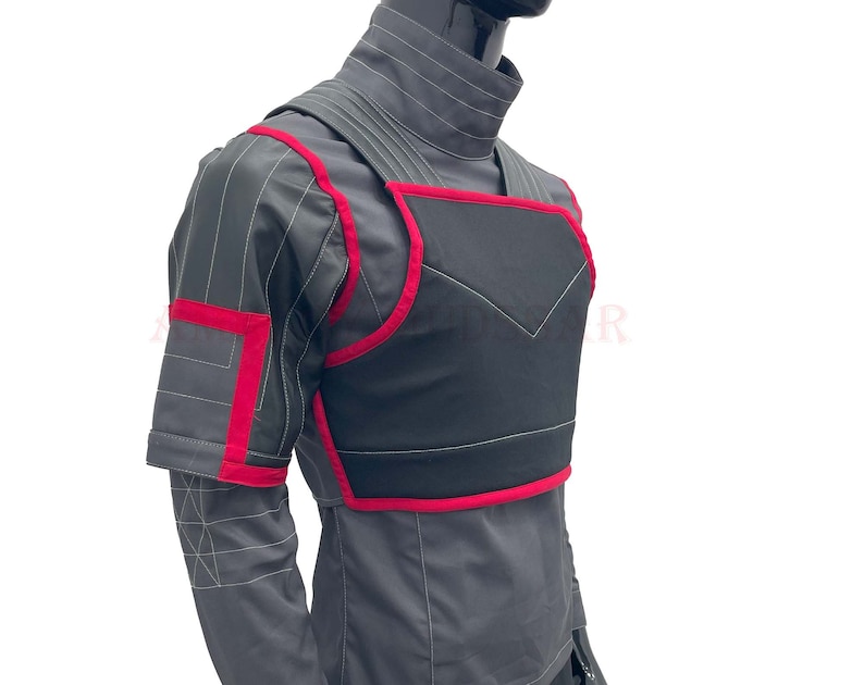 May include: A gray and black vest with red trim. The vest has a high collar and a zipper closure. It is made of a durable fabric and has a padded chest area.