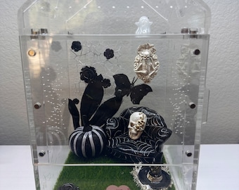 Large Spooky Jumping Spider Enclosure