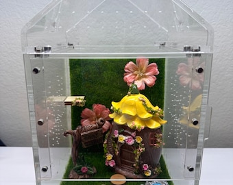 Large Jumping Spider Enclosure