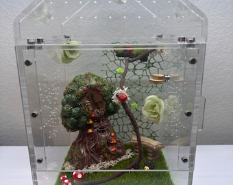 Large Spider Enclosure