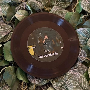 May include: A dark brown vinyl record with a central label featuring a photograph of a person performing on stage. The label displays the text AOC and Die Panda Die in white lettering, along with the letter A and the letters RPM.