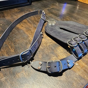 May include: A black leather harness featuring a wide, contoured panel with four vertical loops and metal rings. The harness includes adjustable straps with silver-toned buckles, heart-shaped accents, and copper-colored rivets, designed for secure attachment.