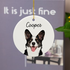 Custom Pet Ornament,Pet Portrait Ornament,Cat Ornmant,Dog Photo Ornament,Memorial Gifts,Keepsake Gifts,Dog Mom Gifts,Pet Lover Gifts