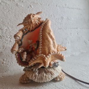 Könnte beinhalten: Eine Muschellampe mit warmem Schein, verziert mit kleinen Muscheln und Perlen. Der Sockel besteht aus Korallen und Muscheln.