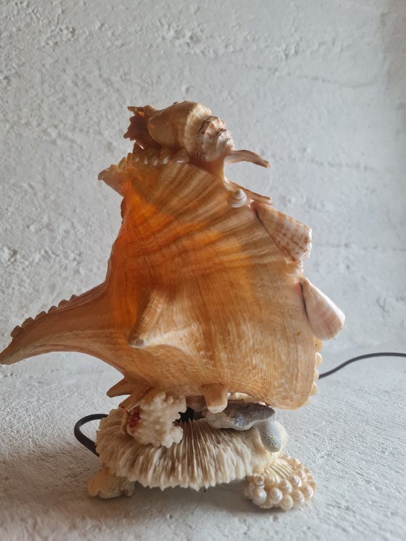 Vintage Conch Shell Table Lamp, Nautical Decor, Handmade of Several ...