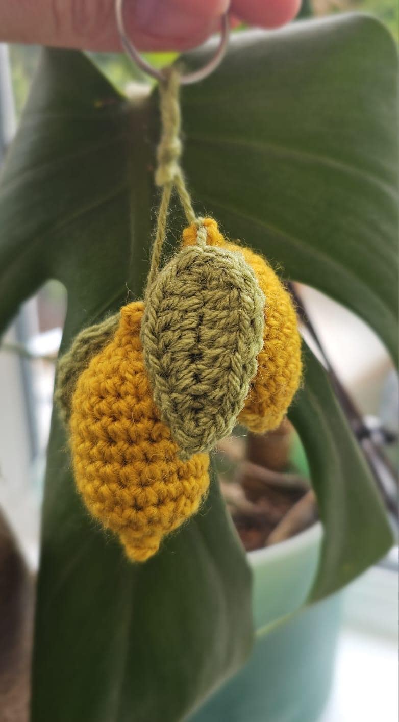 Crochet Lemon Keyring/bag Charm Pattern, PDF Instant Download - Etsy