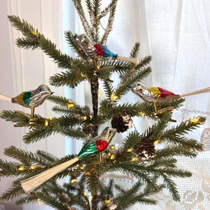 Può includere: Quattro ornamenti a forma di uccellino in vetro in stile vintage con corpi in argento metallizzato e ali colorate in rosso, blu, verde e giallo. Ogni uccellino presenta una lunga coda sottile in fibra chiara e una clip in metallo.