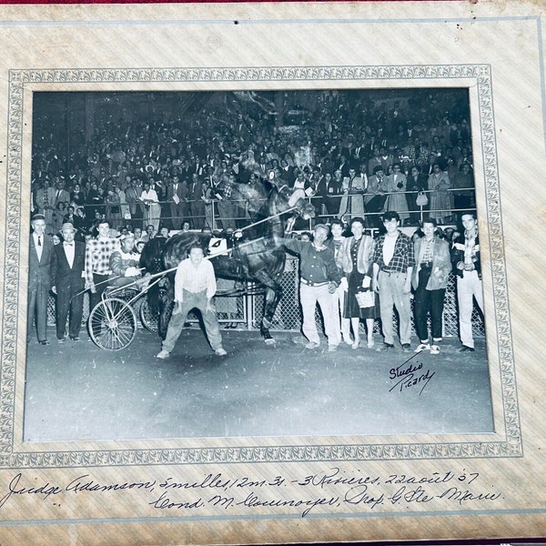 Vintage Harness racing photo / picture (Horse number 4) along with his driver and owner.
