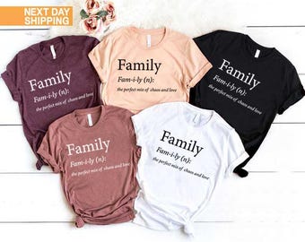 Family the Perfect Mix of Chaos and Love Shirt, Cute Family Reunion Gift, Funny Family Matching Tee, Family Definition Tee, I Love My Family