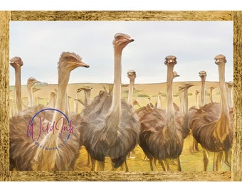 Ostrich, Wall Art, Digital Downloads, Prints, Multiple Sizes, Multiple Uses, Watercolor Style, Animals, Wildlife, Nature, Home Decor, Birds