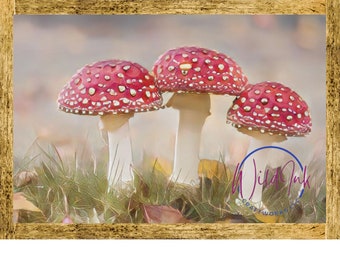 Mushrooms, Digital Wall Art, Downloads, Prints, Multiple Sizes, Multiple Uses, Watercolor Style, Nature, Home Decor