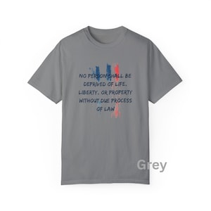 Due Process T-Shirt the 5th Amendment to the Constitution Protects Us All Freedom and Justice Tee Unisex Graphic Shirt for Activists