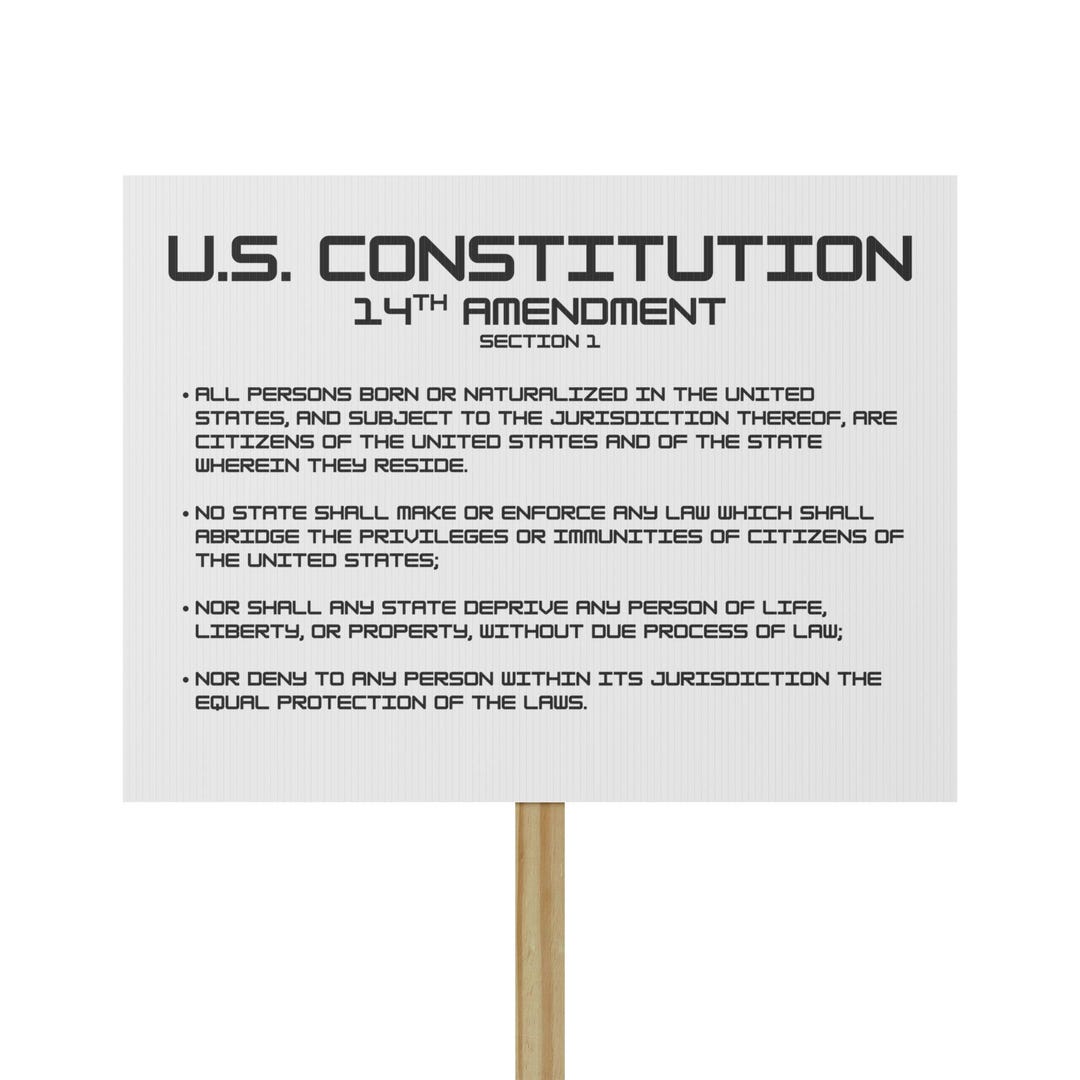 14th Amendment Protest Sign: Civil Rights Rally Board, Immigration Sign ...