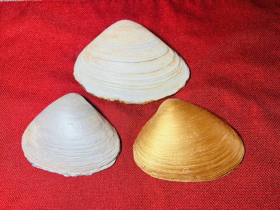 Choose Your Back Shell Finish: Gold • Silver • Natural • Custom Message