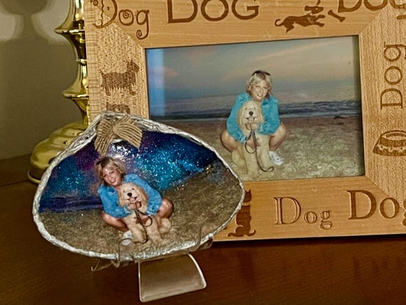 Special Occasion Gifts,  Honoring Someone, Thank You Gifts, Wedding Gifts,  Birthday Shell Greetings for Her, Valentine Heart Shells for him