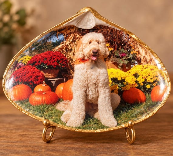 Your pet's photo transferred in a shell creates a lasting tribute and memory, favorite memory of your pet, Dog Sitter Gift, Dog Groomer Gift