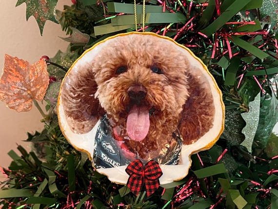 Special Occasion Gifts,  Honoring Someone, Thank You Gifts, Wedding Gifts,  Birthday Shell Greetings for Her, Valentine Heart Shells for him