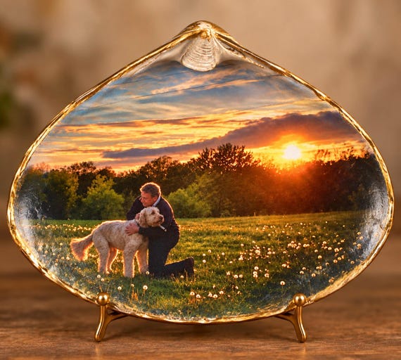Personalized Photo Shell Keepsake – Custom Pet & Owner Gift, Dog/Cat Lover Beach Memory, Coastal Seashell Art with Gold Trim
