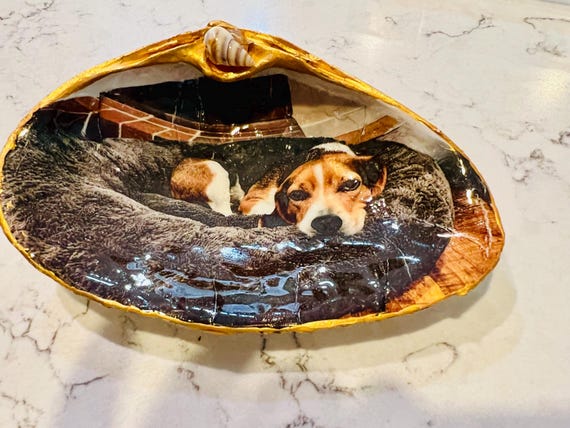 Pet Memorial Seashell Keepsake | Custom Photo Clam Shell Tribute | Personalized Pet Loss Gift