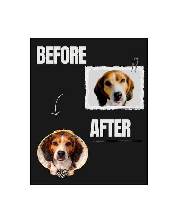 Pet Memorial Seashell Keepsake | Custom Photo Clam Shell Tribute | Personalized Pet Loss Gift