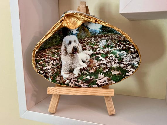 Your pet's photo transferred in a shell creates a lasting tribute and memory, favorite memory of your pet, Dog Sitter Gift, Dog Groomer Gift
