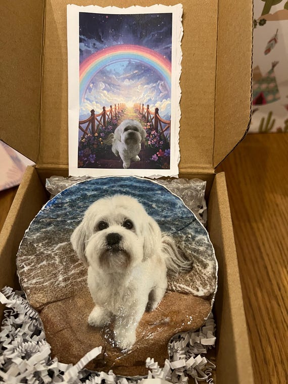Pet Memorial Gift, Rainbow Bridge Gift, Personalized Dog or Cat Memory Keepsake