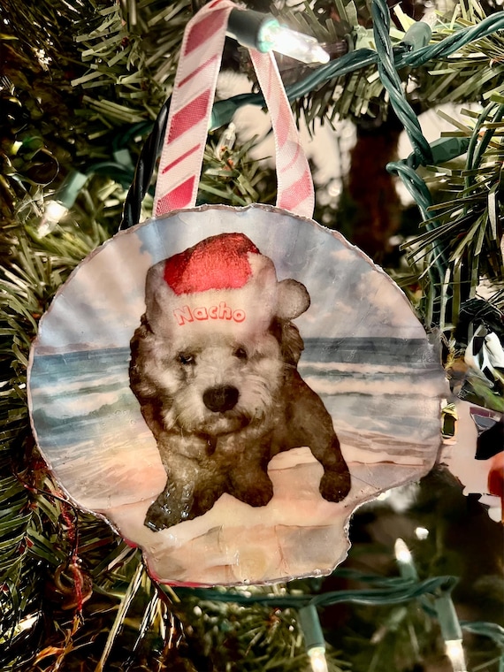 Pet Memorial Seashell Keepsake | Custom Photo Clam Shell Tribute | Personalized Pet Loss Gift