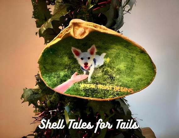 Pet Photo Shell Ornament – Your Personalized Christmas Ornament – For every Pet Shell Tale sold- 10 dollars is donated to help shelter pets.