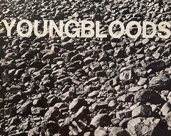 Youngbloods, Rock Festival, Vinylalbum/Schallplatten, Warner Brother Records, 1970, WS1878