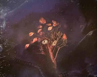 The Moody Blues, On the Threshold of a Dream,Vinyl Album/Record, Decca Records,1969, DES 18025