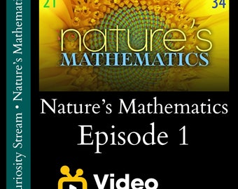 Nature's Mathematics - Episode 1 - Video Response Worksheet and Key