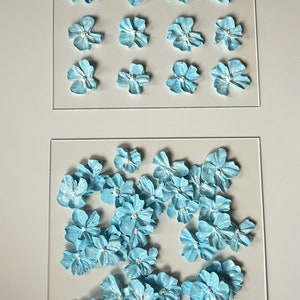 Blue Hydrangea Collection