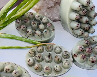 Jabón de Sábila + Albahaca + Ruda Limpeza energética y protección