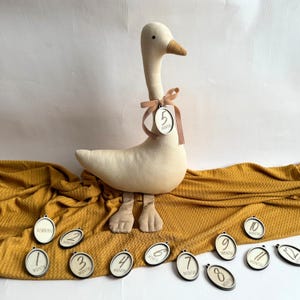 May include: A plush, cream-colored goose toy with a brown beak and feet, adorned with a ribbon holding a tag that reads "5 MONTH". Several wooden tags with months 1-12 and "NEWBORN" are scattered around the goose on a mustard-colored blanket.
