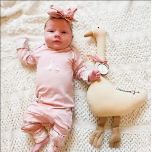 Baby Milestone Marker Boy and Girl Growth Tracker Plush Animal Toy Newborn Photoshoot Prop Goose Theme Nursery Decor Milestone Baby Sign image 6