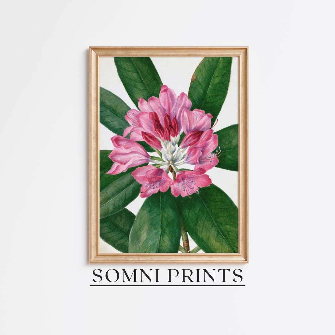 Pink Botanical Art Print Lush Green Leaves and Floral Detail Garden ...