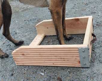 Caja de posición deportiva para perros
