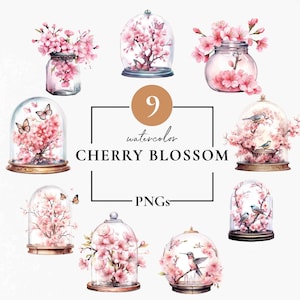 Kirschblüte PNG Bundle, Sakura Blossom Clipart, Frühling Clipart, Botanische Clipart, Rosa Blumen Aquarell Set, Frühling Floral, Pink Blush