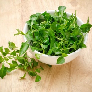 May include: A white bowl filled with fresh green leafy greens, with additional sprigs of the greens spilling out of the bowl onto a wooden surface.