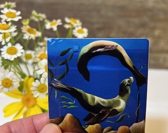 Sea Lions Vinyl Sticker.  Ocean Art, Deep Sea Life, Sea Creatures, Marine Life Art, Sea Lion Decal