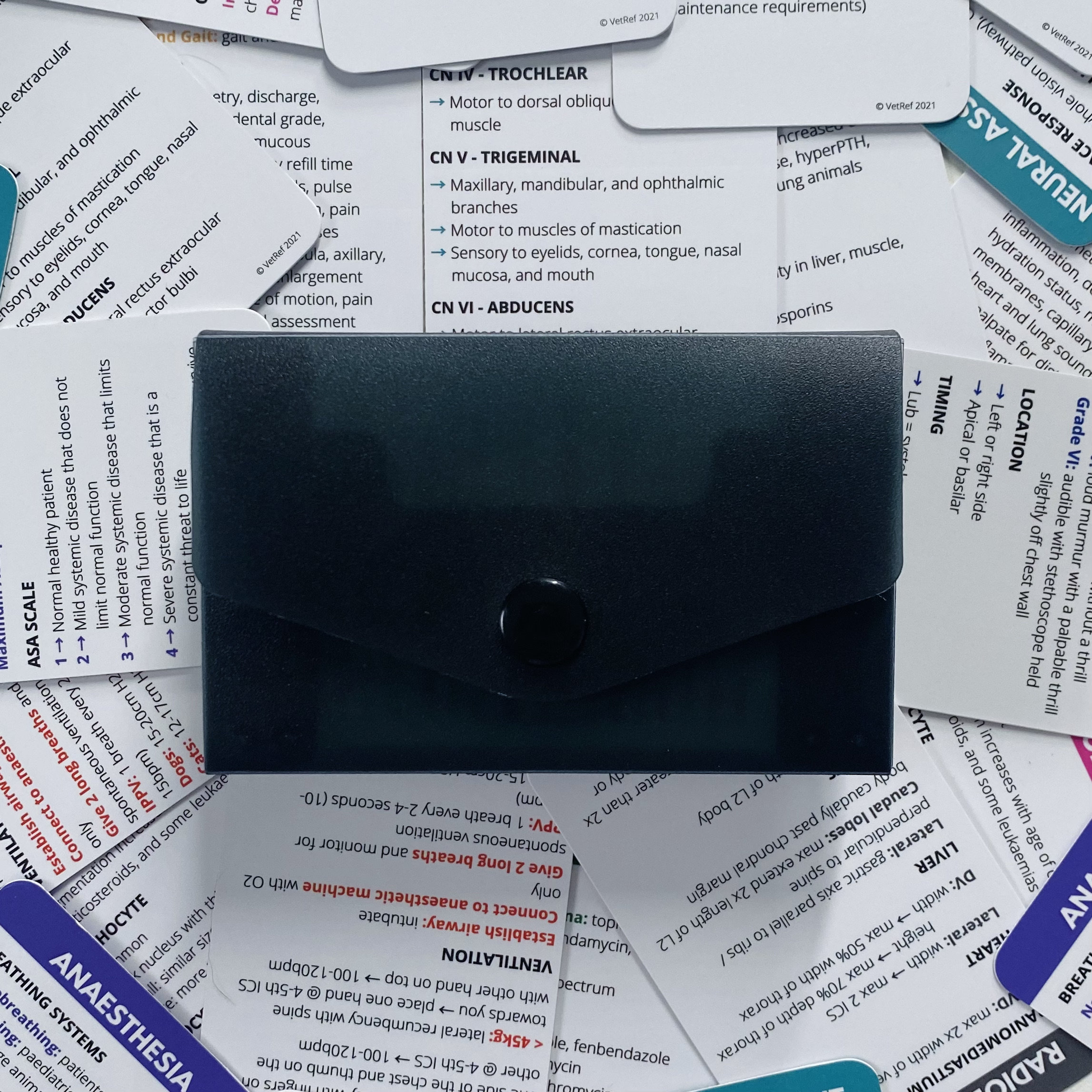 Ultimate Small Animal Veterinary Reference Cards Bundle - Etsy