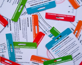 May include: A close-up of colourful index cards with text about equine nerve blocks, pregnancy diagnosis, and drug contraindications. The cards are labelled with different colours and have a hole punched in the top corner.