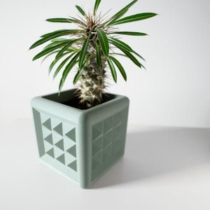May include: A green square planter with a geometric pattern, featuring a small succulent plant with spiky leaves.